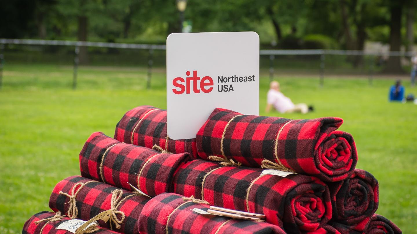 SITE NE Picnic 1 