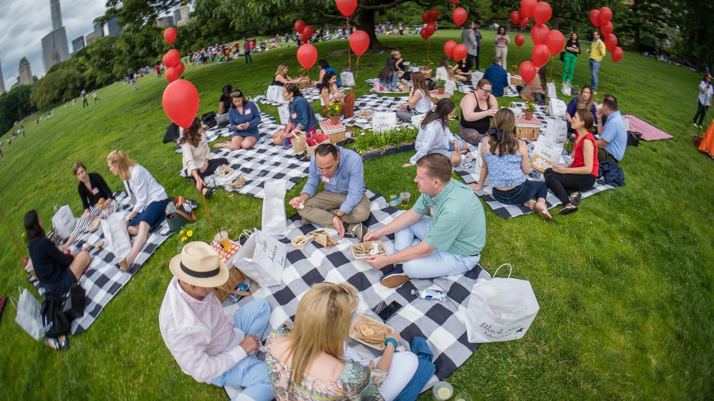 SITE NE Picnic 3