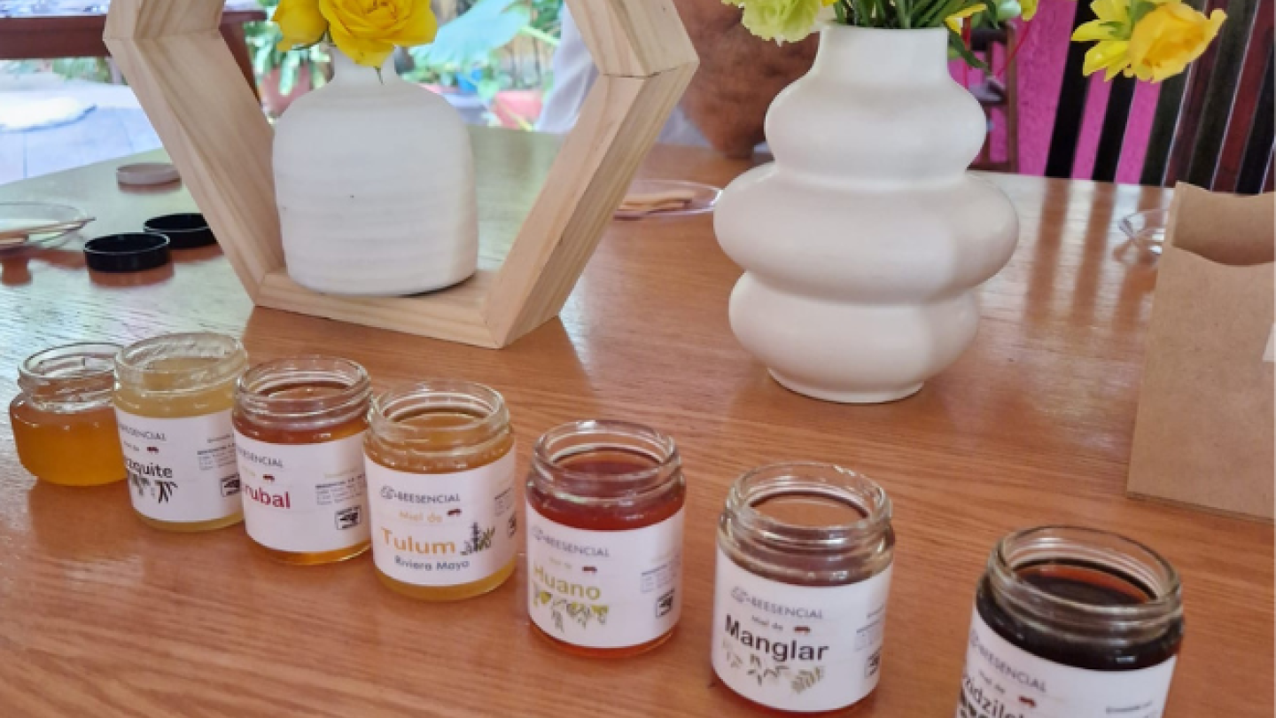 display of seven honeys we sampled
