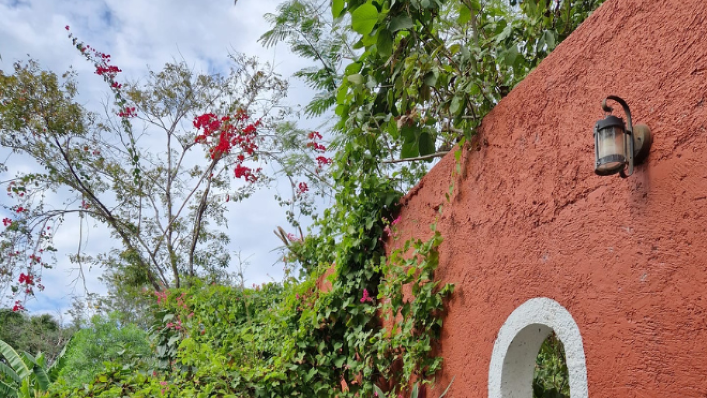 exterior of the first Tulum tour stop