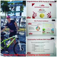 Steffi