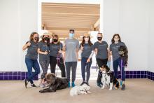SITE SoCal Spring Classic- Dogs