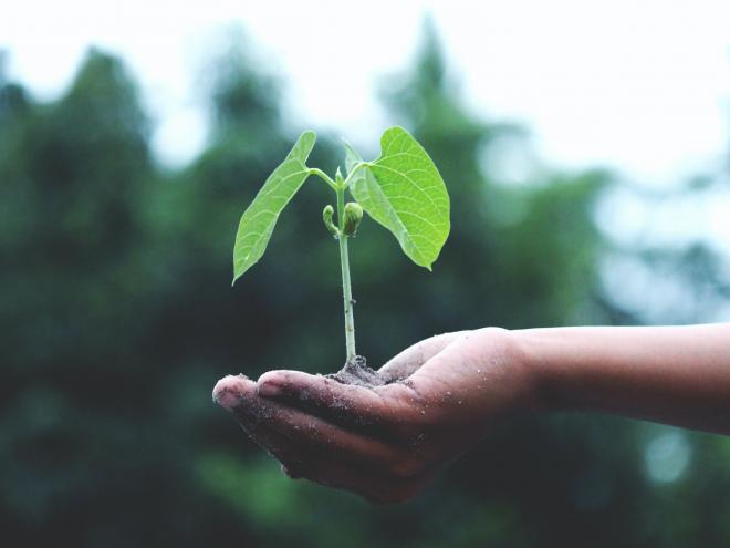 Ireland Sustainability Incentive